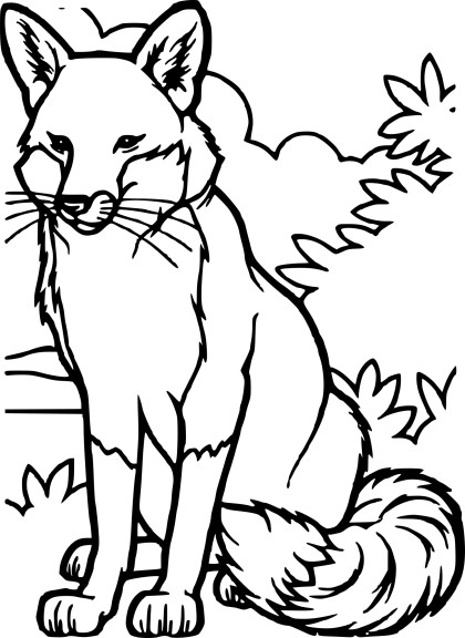 Fox drawing and coloring page