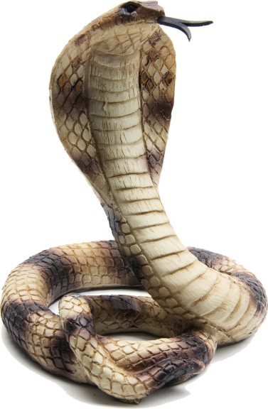 Coloriage Serpent Cobra à imprimer