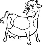 Cow drawing and coloring page