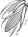 Ears Of Corn coloring page