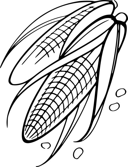 Ears Of Corn coloring page