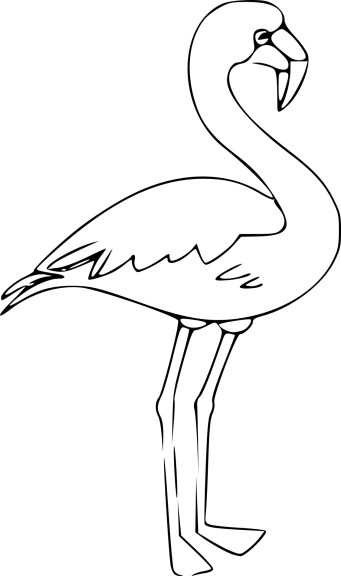 Coloriage flamant rose