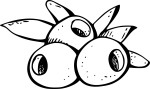 Olives coloring page