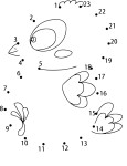 Point To Connect Bird coloring page