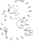 Disegno di Punto per collegare l'uccello da colorare