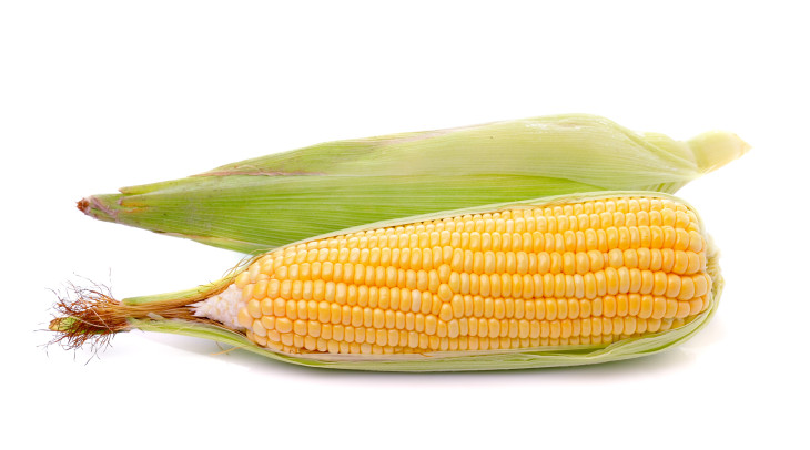 Ears Of Corn