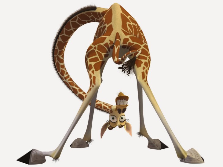 Madagascar The Giraffe