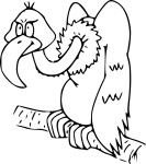 Vulture drawing and coloring page