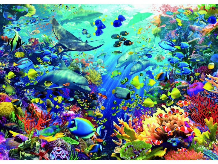 Disegno di Acquatico da colorare