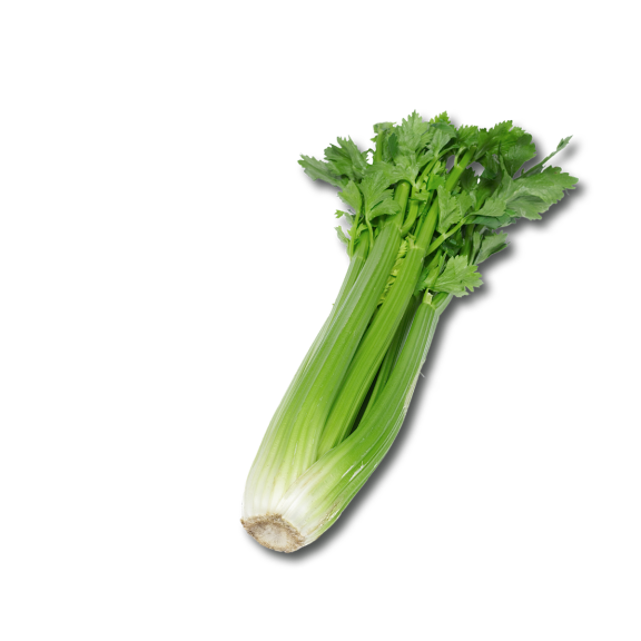 Celery