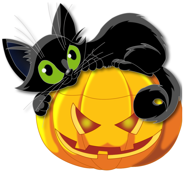 Chat noir halloween