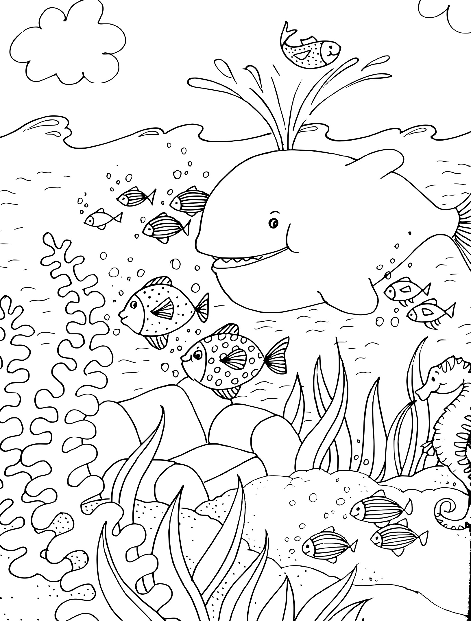 Aquatic Animals coloring page