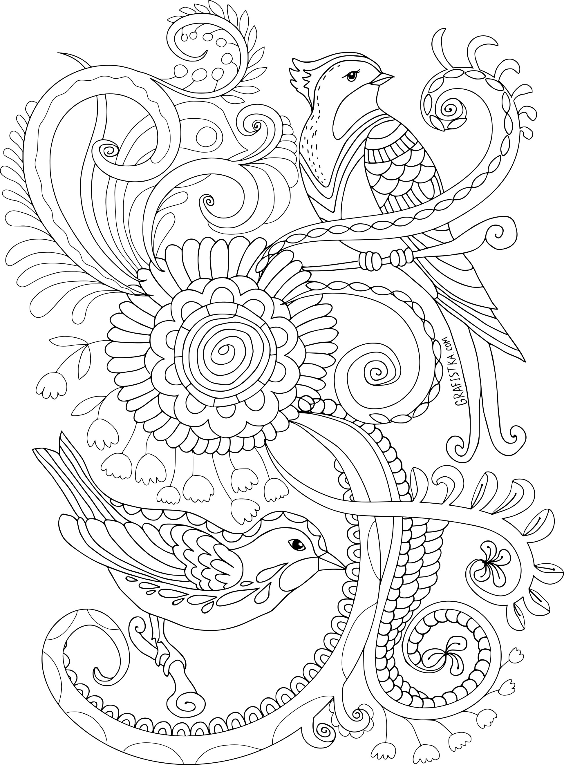 Coloriage anti stress oiseaux