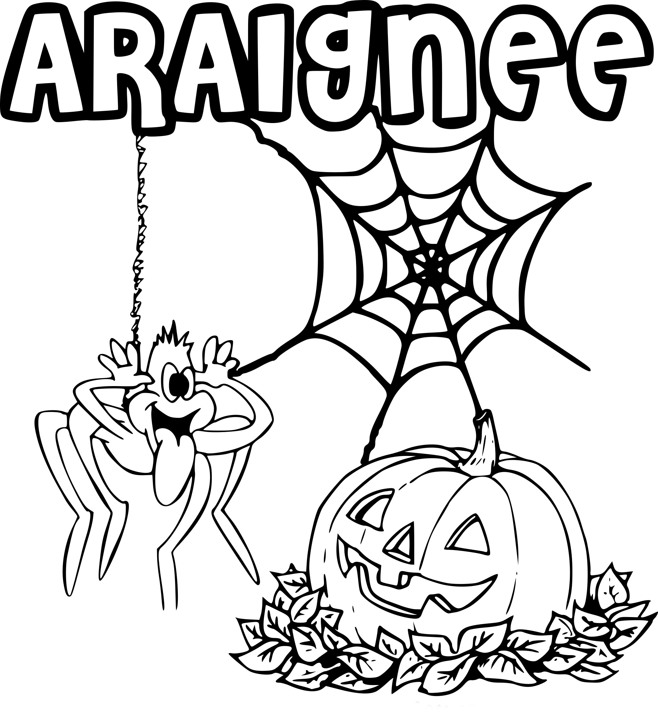 Coloriage araignée Halloween