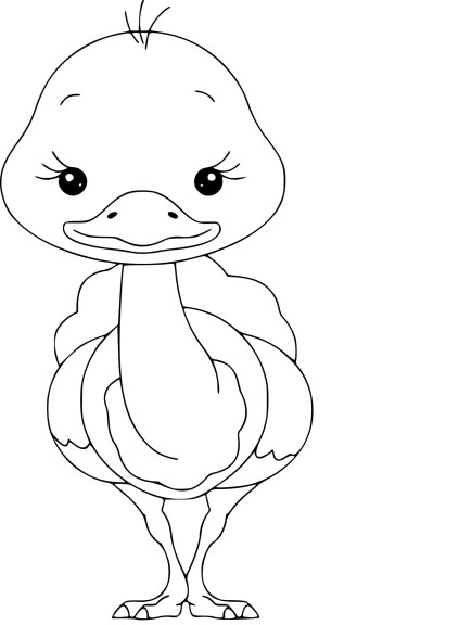 Ostrich Baby coloring page