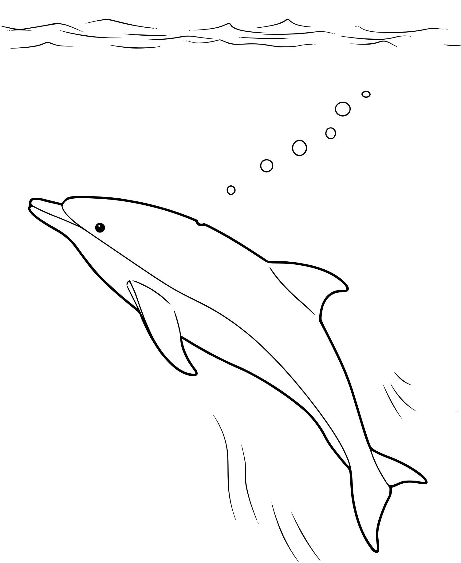 Dolphin Aquatic Animal coloring page