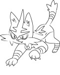Pokemon Torracat coloring page