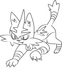 Disegno di Pokemon Torracat da colorare