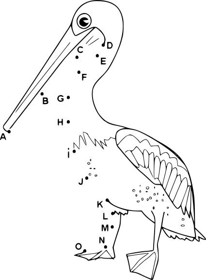 Disegno di Punto da collegare Pelican da colorare