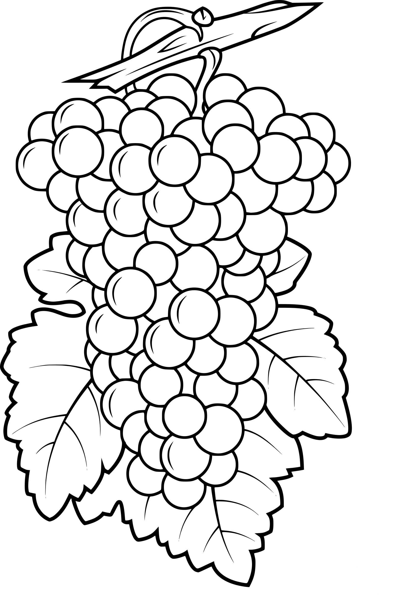 Grape coloring page