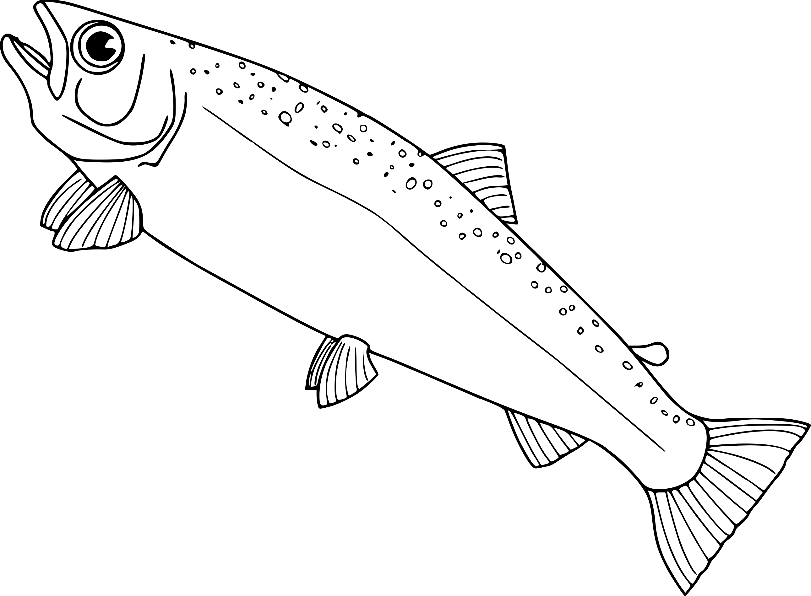 Salmon coloring page