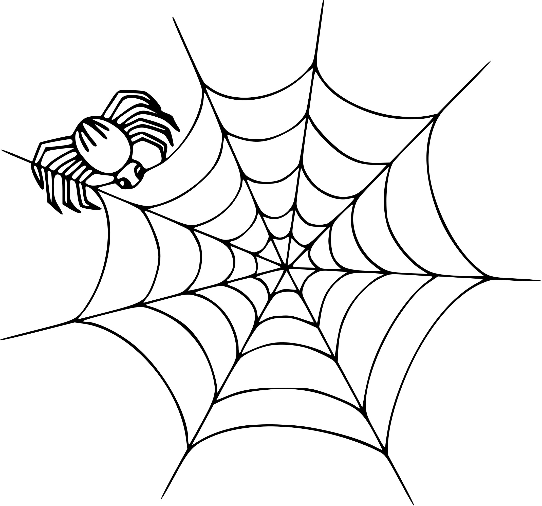 Spiders Web coloring page