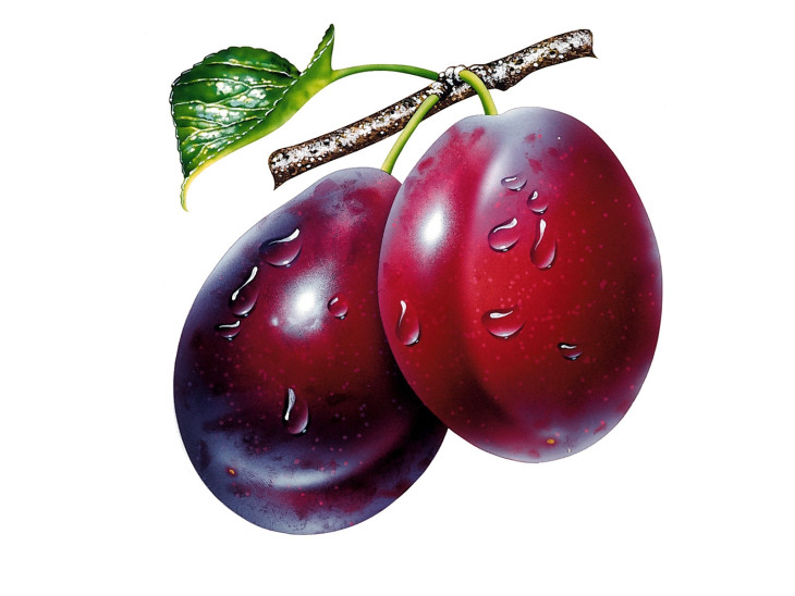 Deux prunes