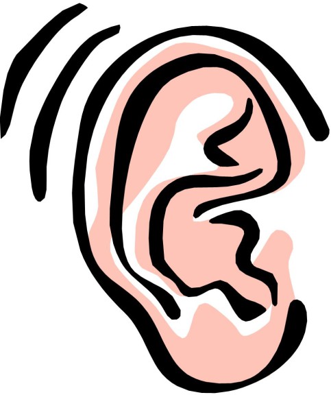 Ear