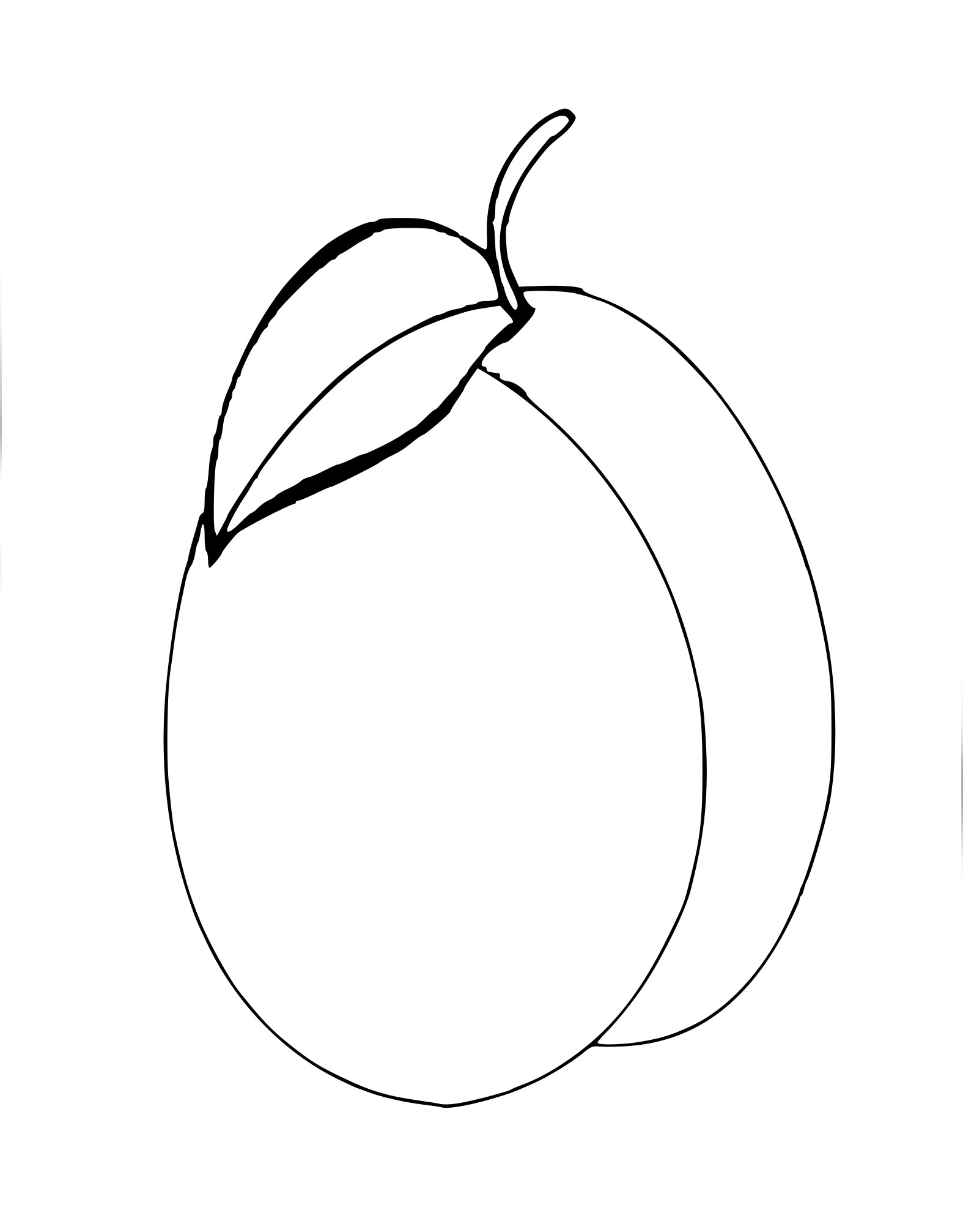 Free Plum coloring page