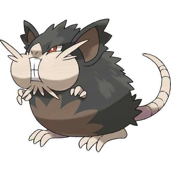 Raticate Of Alola Pokemon