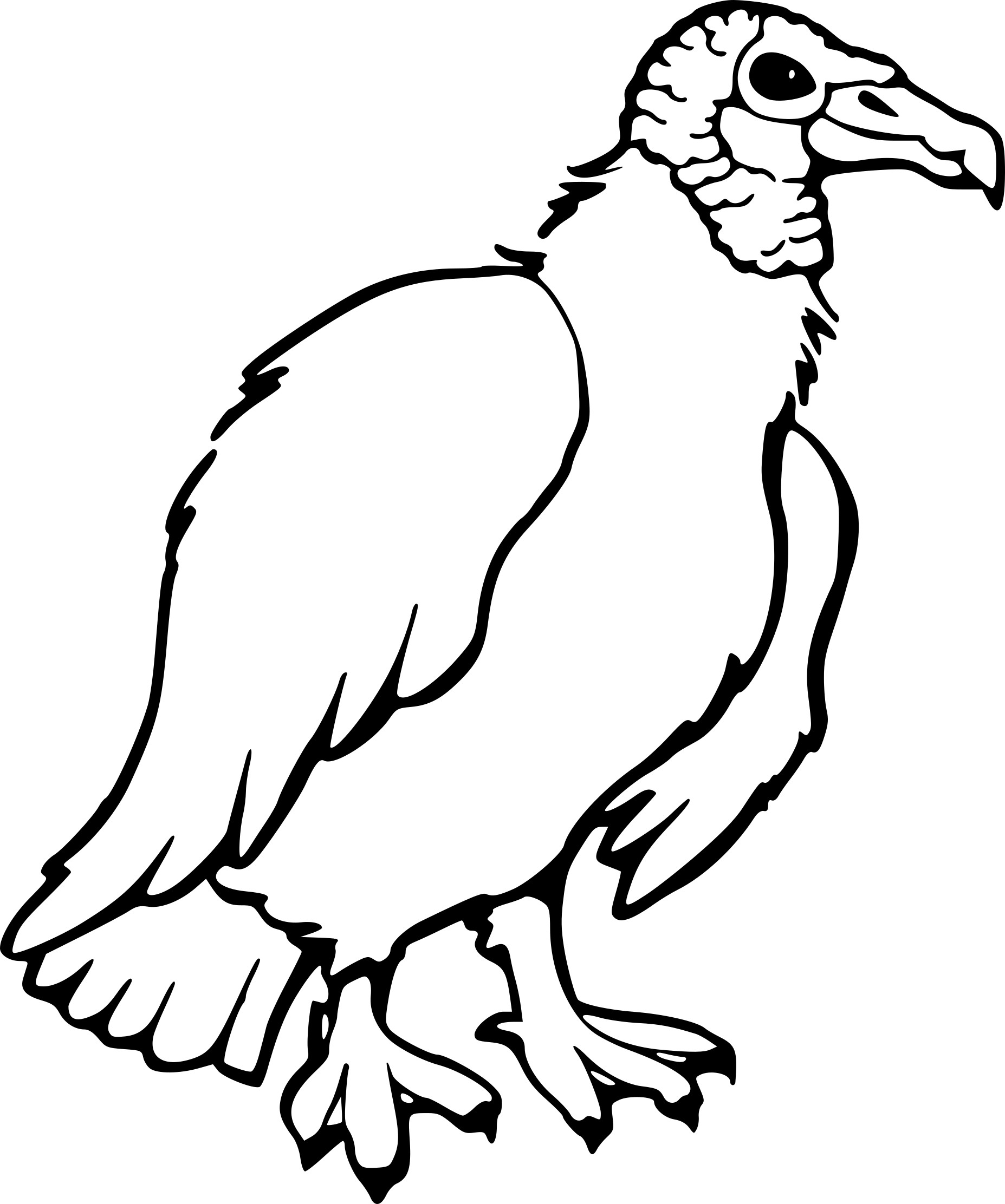 Free Vulture coloring page