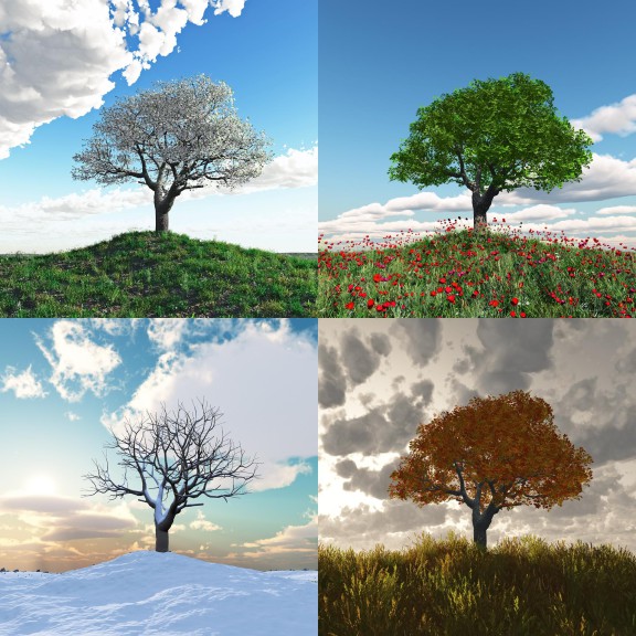 4 Seasons