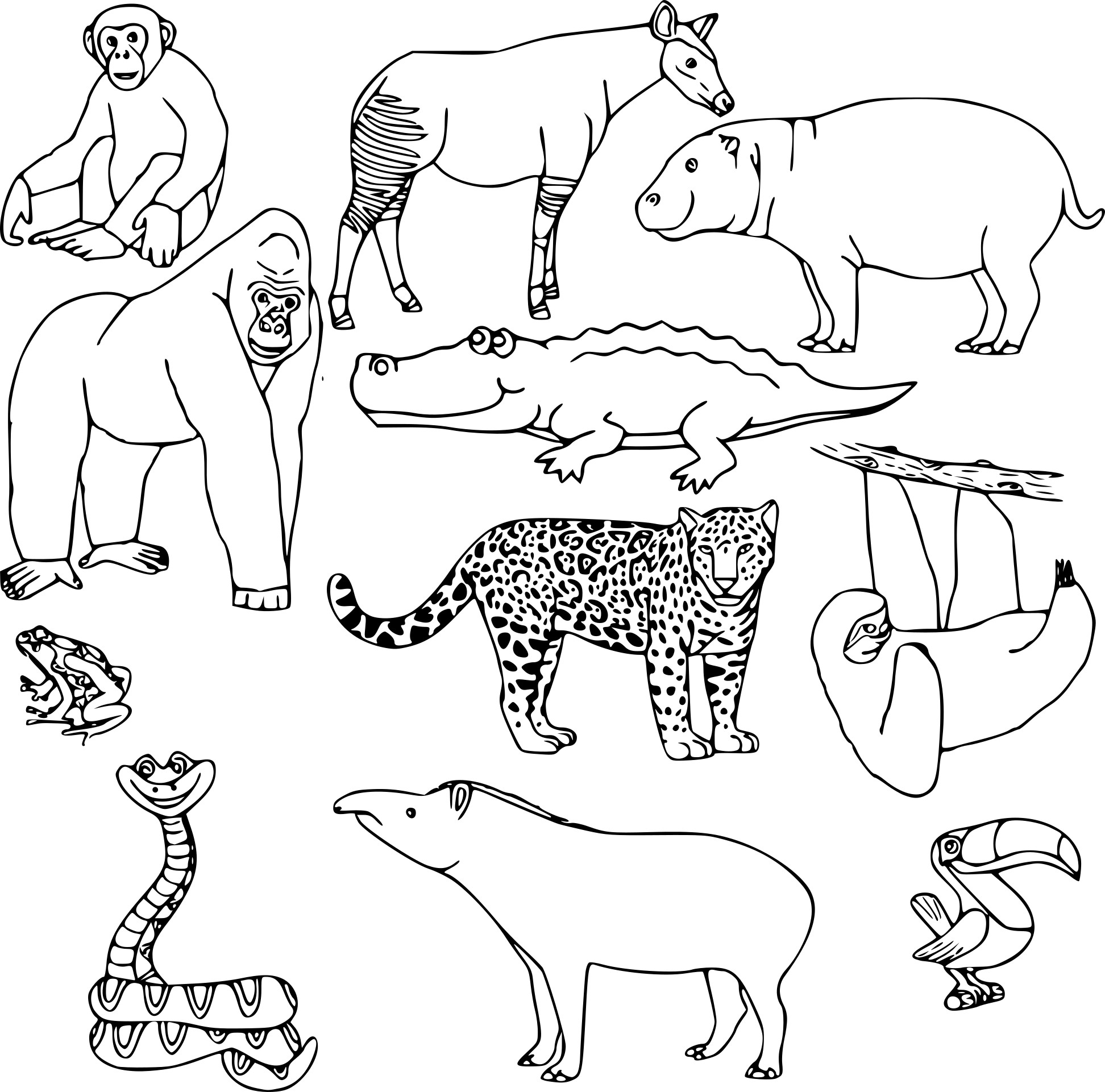 Coloriage animaux sauvages à imprimer