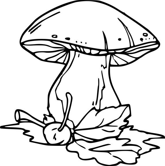 Fall Mushroom coloring page