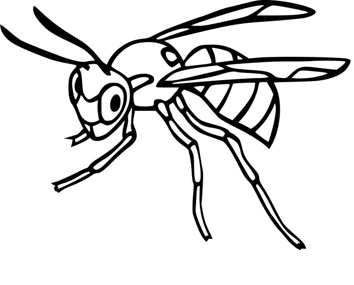Hornet coloring page