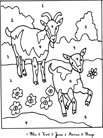 Magical Animals coloring page