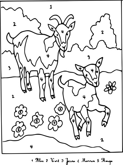 Coloriage magique animaux