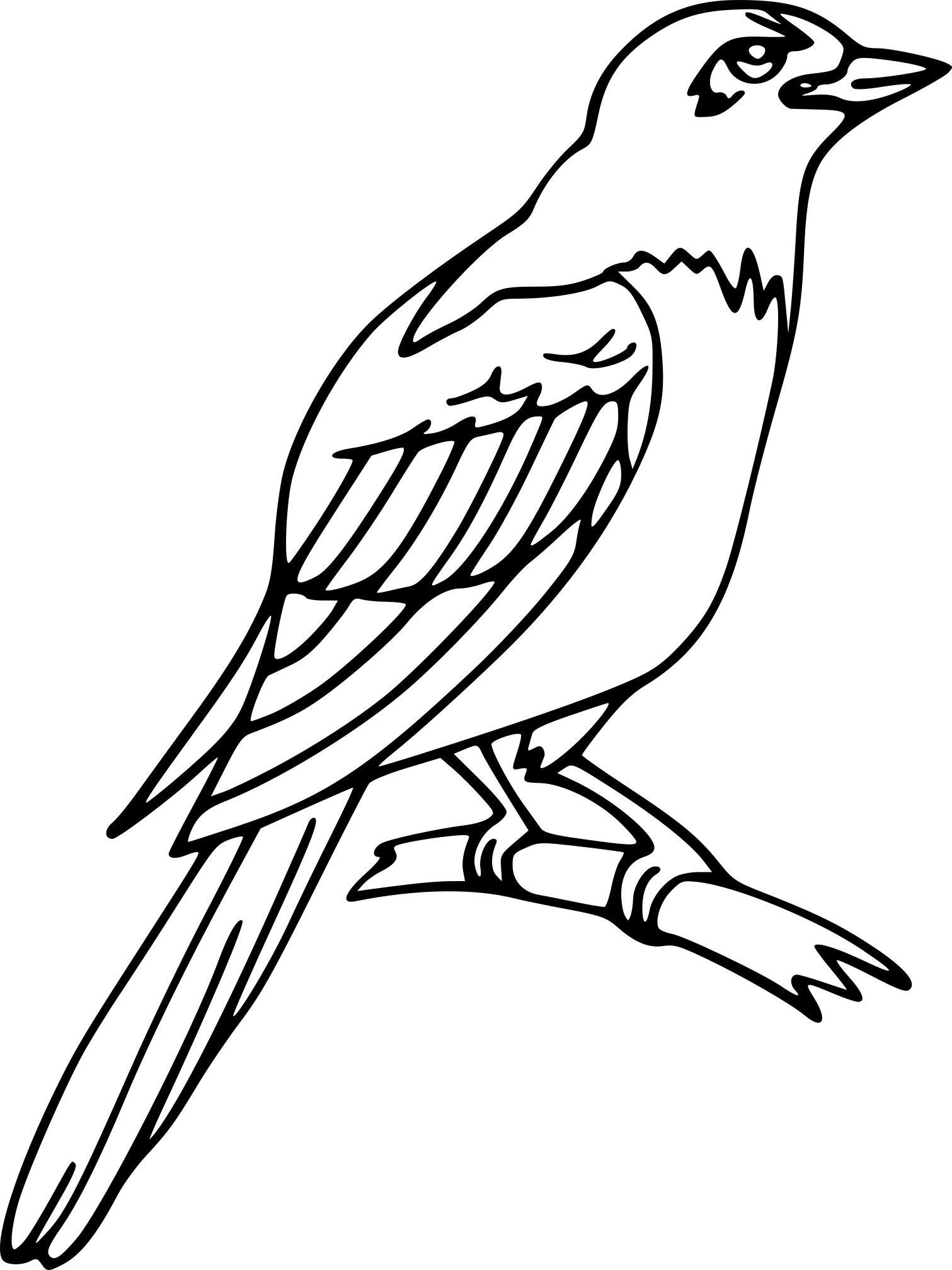 Magpie coloring page