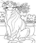 Coloriage Rajah Aladdin