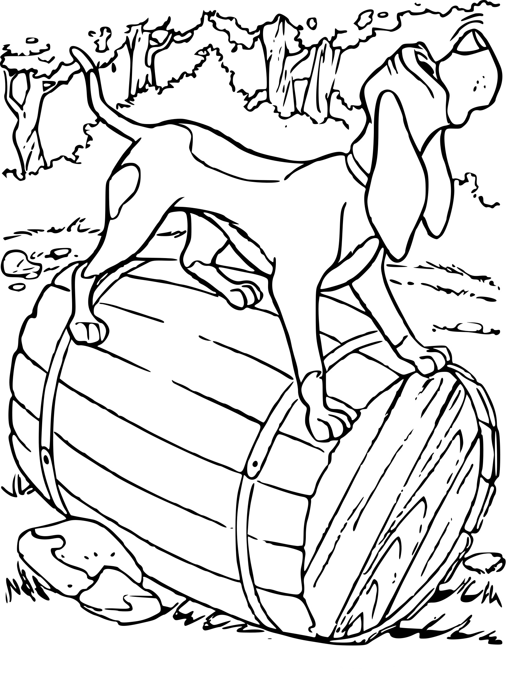 Rox And Rouky 2 coloring page