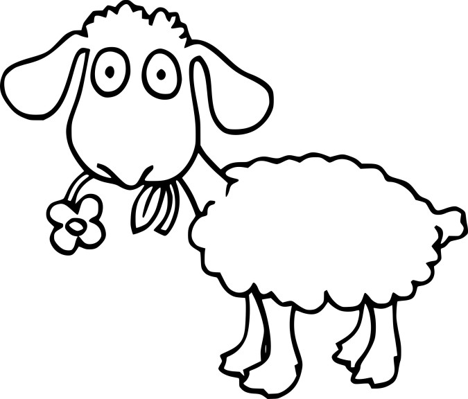Sheep drawing and coloring page