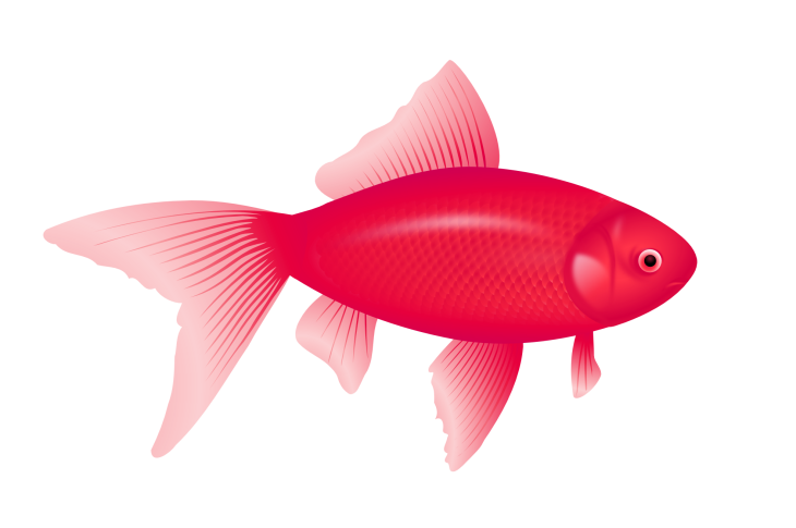 Disegno di Pesce rosso da colorare