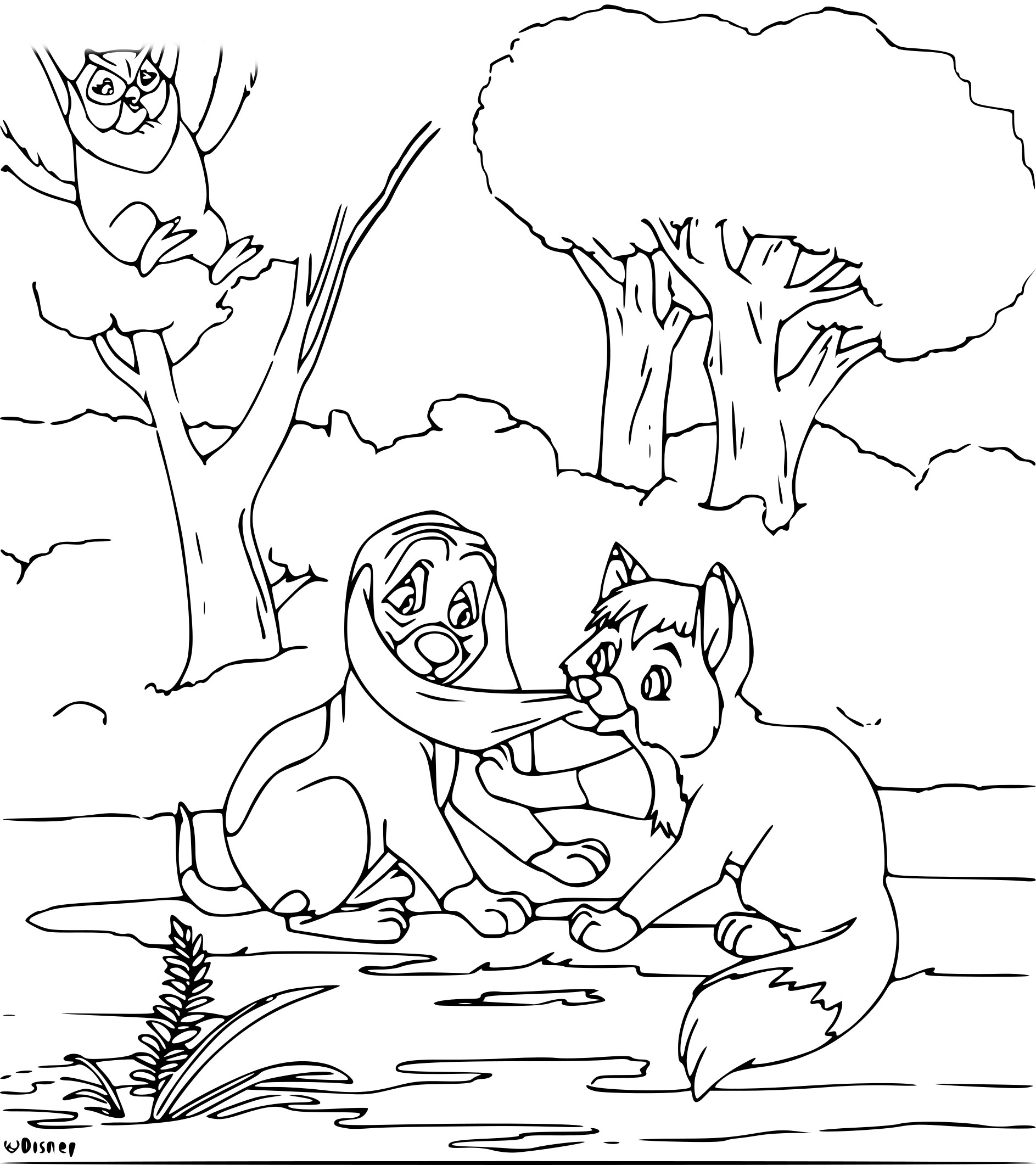 Rox And Rouky drawing and coloring page