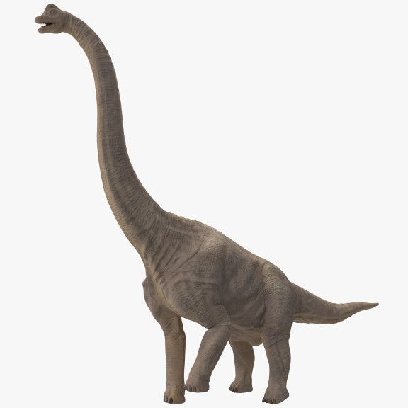 Disegno di Dinosauro Brachiosauro da colorare