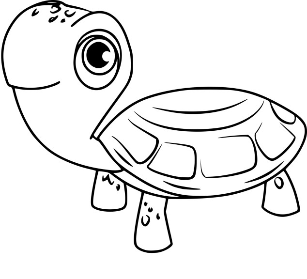 Coloriage tortue la Pat'patrouille