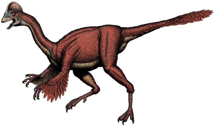 Disegno di Dinosauro Oviraptor da colorare