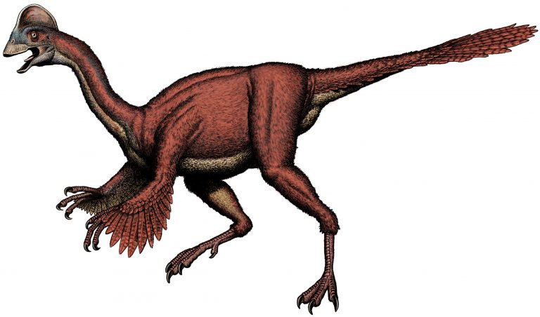 oviraptor coloring page