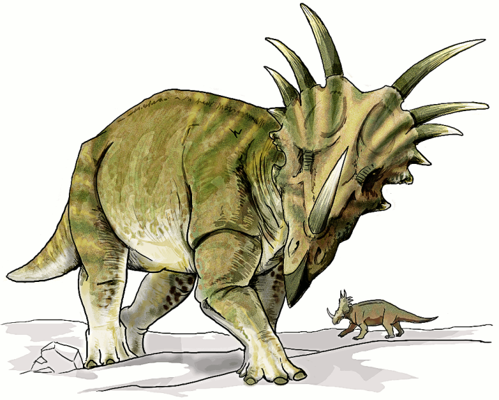 Disegno di Dinosauro Styracosaurus da colorare