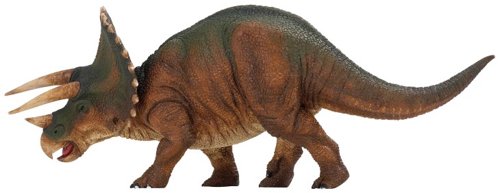 Triceratops Dinosaur