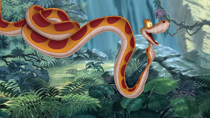 Kaa le livre de la jungle